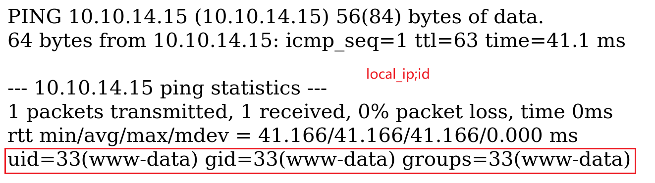 image-20231213034311290