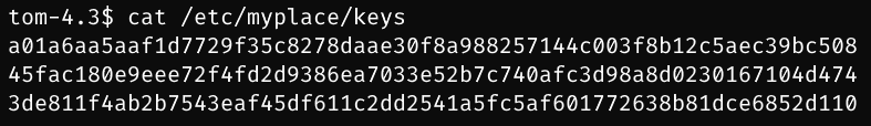 image-20231216203840635