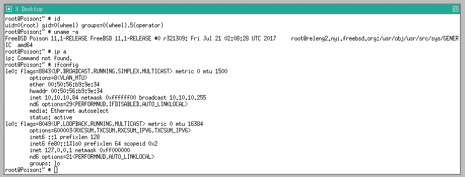 image-20231217045629098