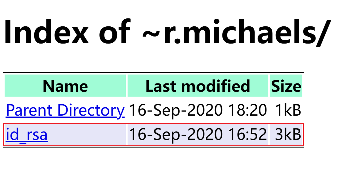 image-20240129033922911