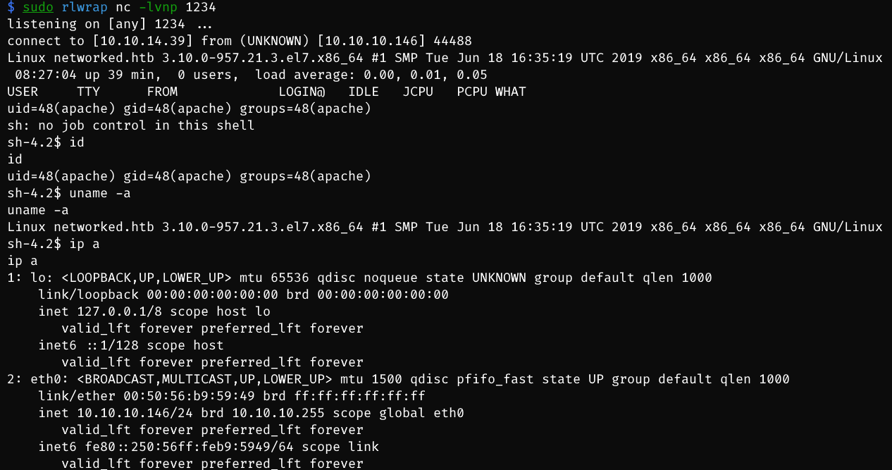 image-20231228172829482