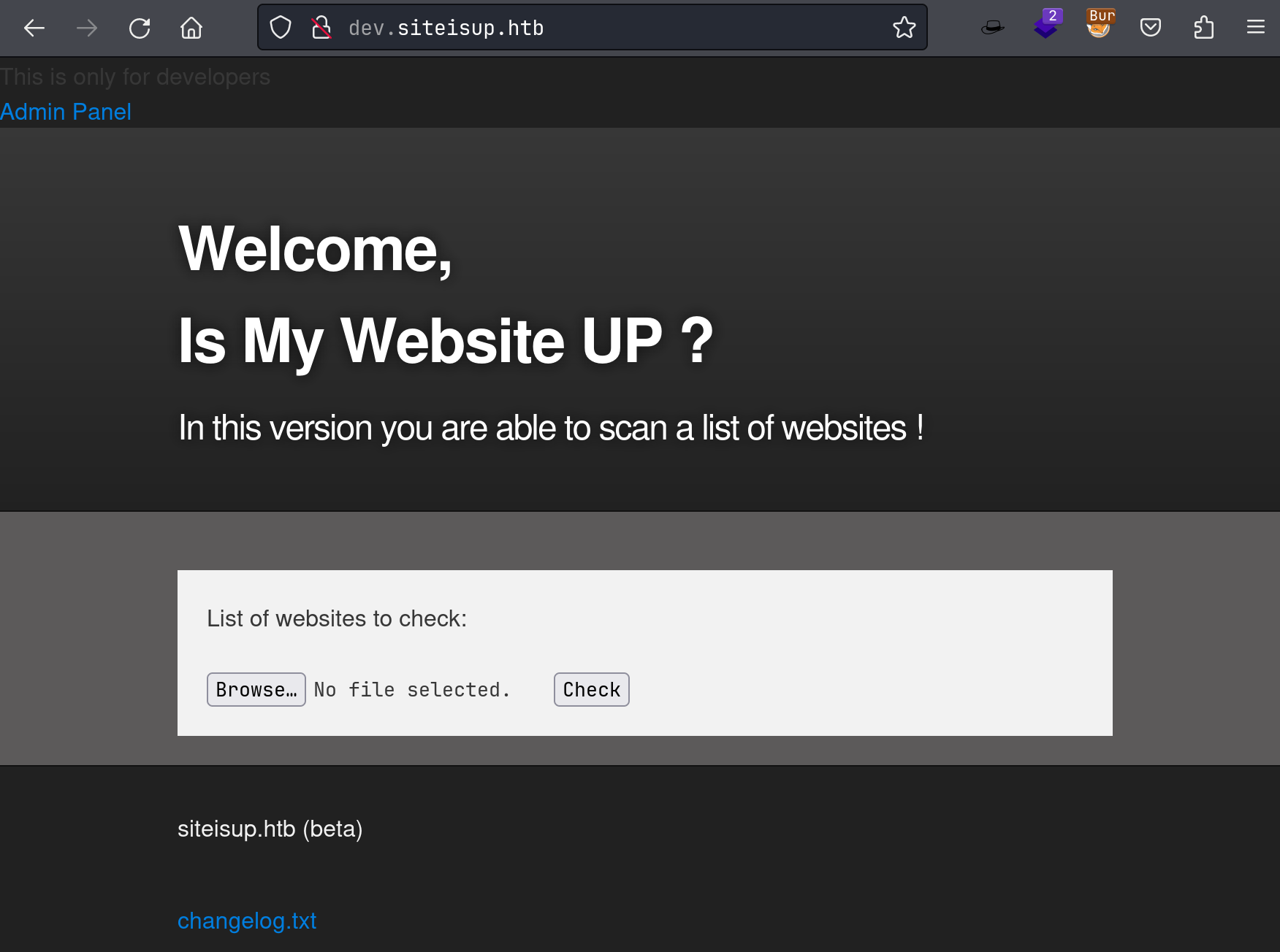 image-20240305204446444